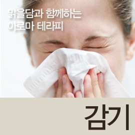 [정보 페이지]증상별테라피 감기